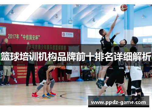 篮球培训机构品牌前十排名详细解析