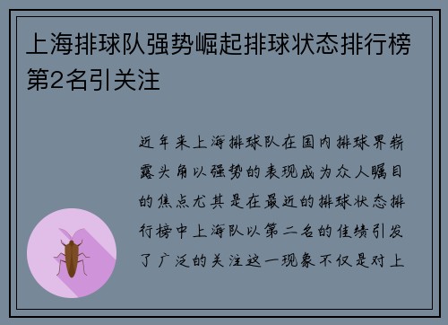 上海排球队强势崛起排球状态排行榜第2名引关注